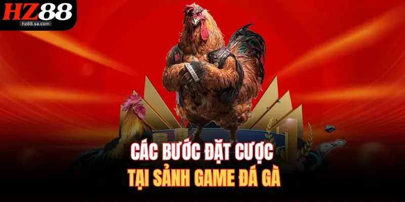Đá Gà HZ88 | Trực Tiếp Đá Gà Online Nảy Lửa Nhất Hôm Nay