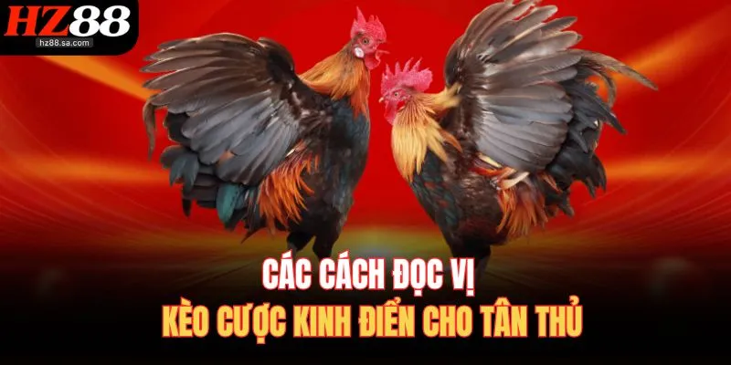 Đá Gà HZ88 | Trực Tiếp Đá Gà Online Nảy Lửa Nhất Hôm Nay