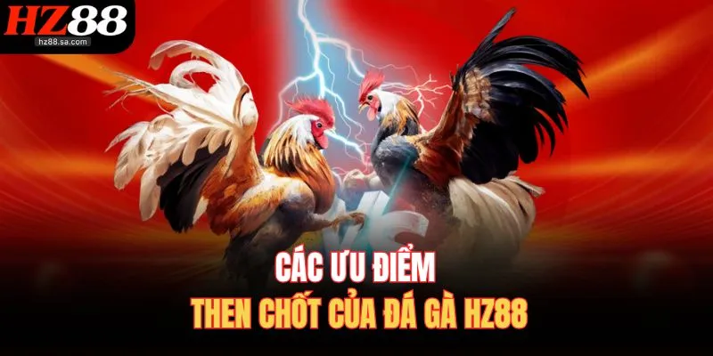 Đá Gà HZ88 | Trực Tiếp Đá Gà Online Nảy Lửa Nhất Hôm Nay